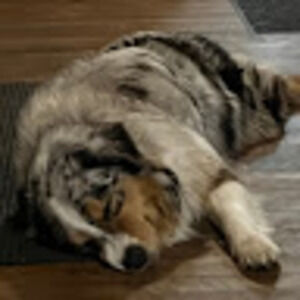 Meet your Posher, Noah